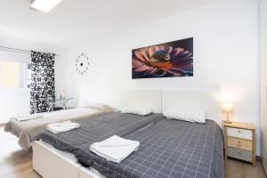 a bedroom with a large bed with two towels at Maoli A Central Studio Icod de los Vinos in Icod de los Vinos