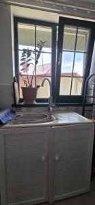 a kitchen with a sink and a plant in a window at Iancina House & Art Gallery in Salcioara +32 photos