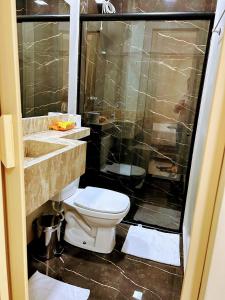 a bathroom with a toilet and a shower at Recanto Sole Luz in Piranhas
