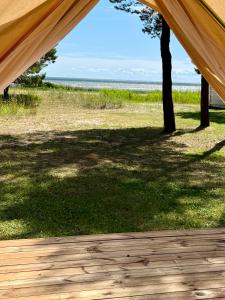 a tent with a view of a tree and the ocean at Mändjala Glamping in Mändjala