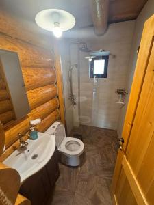 a bathroom with a toilet and a sink and a shower at Cabana Bocus in Păltinoasa