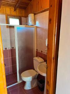 a bathroom with a toilet and a sink at arzum bungalovs in Kumluca +53 photos