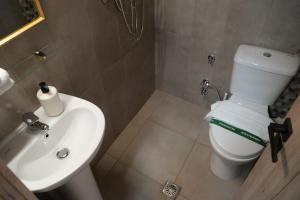 a bathroom with a white toilet and a sink at Christie's Home Meteora in Kalabaka