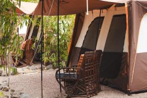 a tent with a chair in front of it at Mosh Achziv Beach in Gesher HaZiw