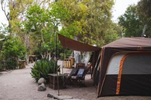 a tent in a yard with chairs and trees at Mosh Achziv Beach in Gesher HaZiw