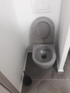 a white toilet in a bathroom with a black plunger at Eco-Luxury Suite Luna in Umag +10 photos