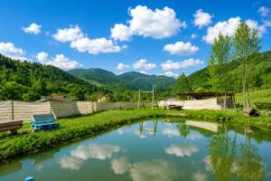 a river in a field with mountains in the background at Casa LA CIOTIC in Săcuieu