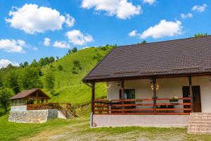 a house with a gazebo and a hill at Casa LA CIOTIC in Săcuieu +29 photos