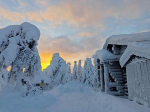 a snow covered house with trees covered in snow at Revontuli 6 in Syöte