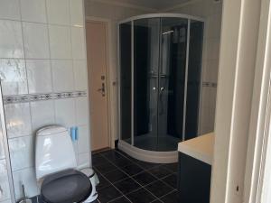Vonios kambarys apgyvendinimo įstaigoje Guest House -Apartment dar 10 nuotraukų