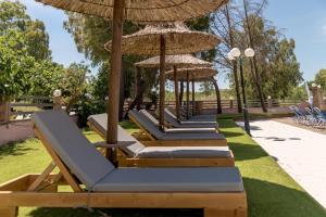 a row of lounge chairs and umbrellas at Apollo Hotel in Laganas