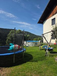 a yard with two swings and a trampoline at Ferienwohnung Köck in Sankt Georgen bei Neumarkt