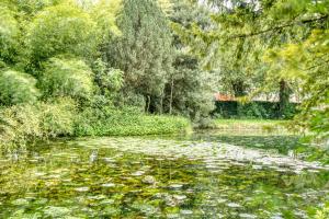 a pond with lily pads in a park at chambre AZZURO avec jacuzzi lit rond et jardin avec piscine in Saint-Martial-sur-Né