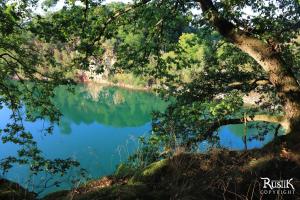 a view of a lake through a tree at Rustik in Chailloué