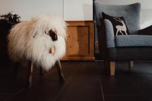 a white dog sitting in a living room next to two chairs at AlpinLodges Kühtai in Kühtai +76 photos