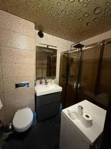 a bathroom with a toilet and a sink and a shower at Villa in Uman +2 photos