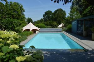 a swimming pool in a garden with a tent at Witte Merel Glamping in Beringen