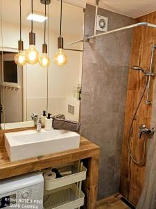 a bathroom with a sink and a shower at Studio Park Śląski Katowice/Chorzów in Chorzów