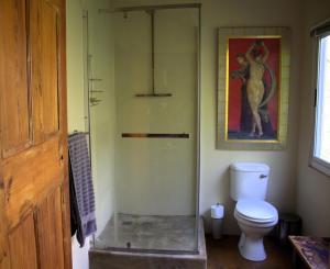 a bathroom with a toilet and a painting on the wall at Hangman's Lookout in Calitzdorp +26 photos
