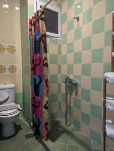 a bathroom with a shower with a toilet at Okeania Seafront Rooms in Kamena Vourla in Kamena Vourla