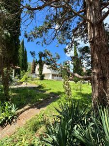 a view of the house from the garden at Orpheus Hotel in Varna City