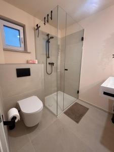 a bathroom with a shower with a toilet and a sink at Ruheoase am Stadtrand in Buchholz in der Nordheide