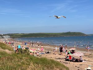 a crowd of people on a beach with a bird flying at Dromdiah Lodge in Killeagh