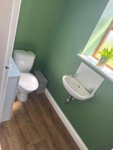 a bathroom with a toilet and a sink at Thornley pit house farm in Durham