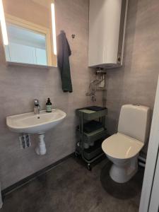 a bathroom with a white sink and a toilet at Lyckebo in Tyresö