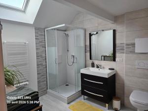 a bathroom with a shower and a sink at La Longère de Vin'Ay in Vinay