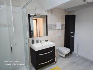 a bathroom with a sink and a toilet and a mirror at La Longère de Vin'Ay in Vinay