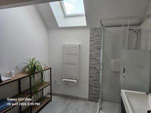 a bathroom with a shower and a skylight at La Longère de Vin'Ay in Vinay