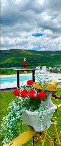 a bike with a basket filled with red flowers at LUX Villa Mavrovo in Mavrovo