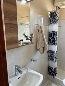 a bathroom with a sink and a shower at Vasiliki see view apartments in Barbati +53 photos
