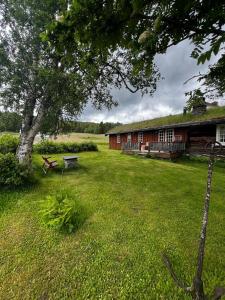 a building with a bench in a yard next to a tree at Såmmårstuggu in Røros