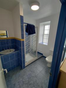 a blue tiled bathroom with a shower and a toilet at Adventure Bude in Bude