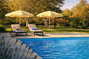 two chairs and umbrellas next to a swimming pool at Domaine Le Verger Kleinschalige B&B met groot zwembad en buitenkeuken in Saint-Estèphe