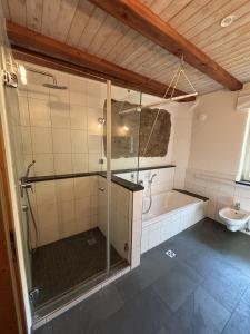 a bathroom with a shower and a tub and a toilet at Auf der Saarinsel in Kanzem +13 photos