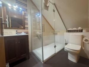 a bathroom with a shower and a toilet and a sink at Hostal Casa Otsoa in Ezcároz +39 photos