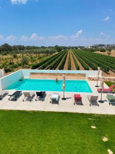 a swimming pool with chairs and a view of a vineyard at Giù al Vigneto in Leporano +49 photos