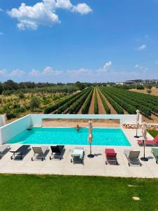 a pool with chairs and a view of a vineyard at Giù al Vigneto in Leporano