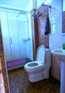 a bathroom with a shower and a toilet and a sink at The African Artisan 3BR Apartment in Nairobi +14 photos