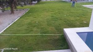 a person flying a kite on a grass field at Elin house in Hammamet