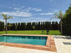 a swimming pool in a yard with palm trees at Agadir sans vis a vis in Bouria