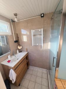 a bathroom with a sink and a shower at La roulotte de Clemence in Montfermy