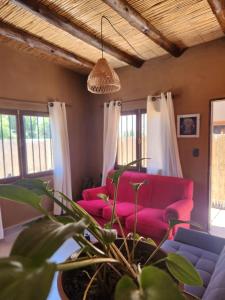 a living room with pink chairs and a potted plant at La Gauda in Huacalera