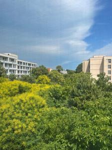 a view of trees and buildings in a city at Apartament NEPTUN in Neptun