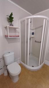 a white bathroom with a shower and a toilet at La casa de Hio in Hio