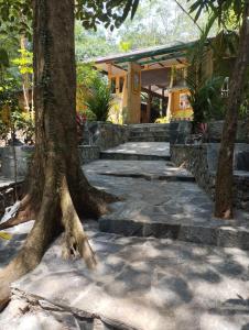 a tree in front of a building with stairs at Makelioya Nature Resort in Kelinkanda