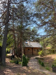 a log cabin in the middle of a forest at Lilaste in Lilaste +17 photos
